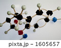 分子の構造 1605657