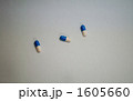 医薬品 1605660