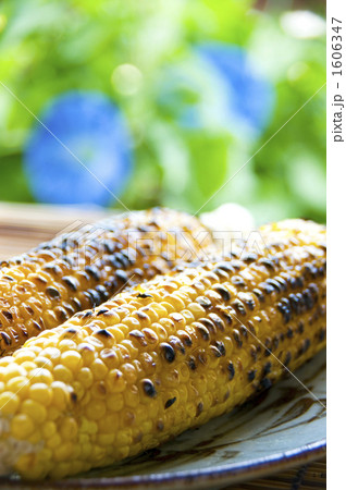 焼きとうもろこし 1606347