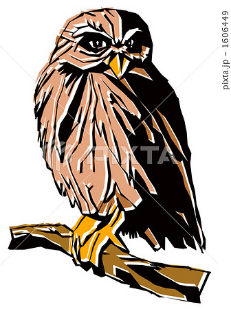 ふくろう ふくろう 1606449