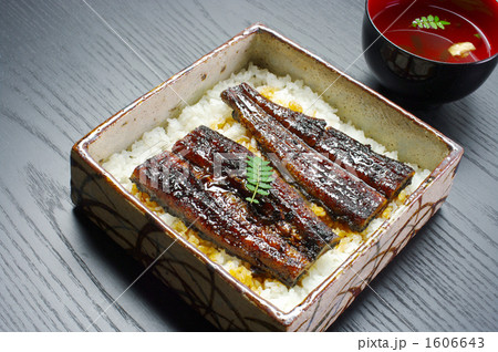 夏はウナギ 1606643