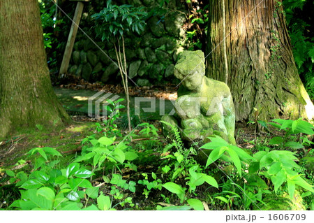 建長寺天源院の参道にて 1606709