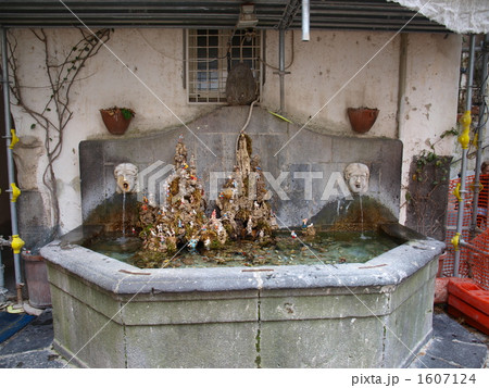 アマルフィー 1607124