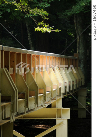 無題 無題 1607460