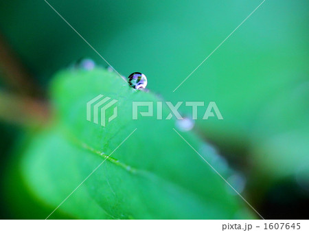水滴 水滴 1607645