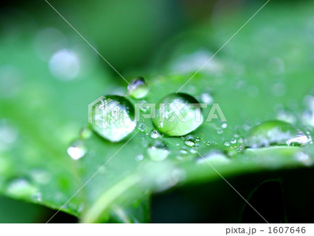 水滴 1607646