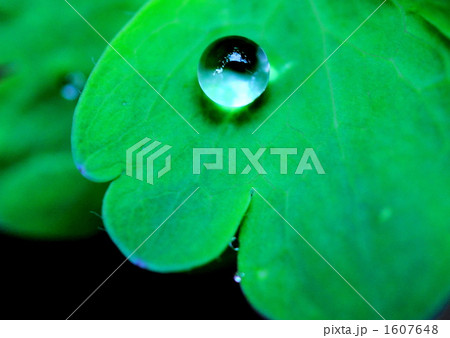 水滴 水滴 1607648