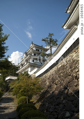 郡上八幡城 郡上八幡城 1608465