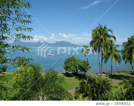 無題 無題 1608922