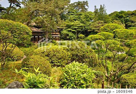酒田散歩・本間美術館　鶴舞園　 1609346