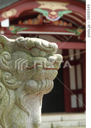 狛犬　神社　⑥ 1609349