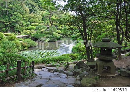 酒田散歩・本間美術館 鶴舞園 酒田散歩・本間美術館 鶴舞園 1609356