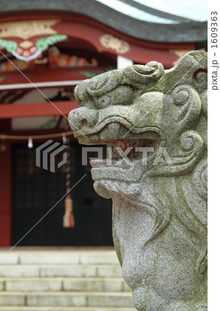 狛犬　神社　③ 1609363