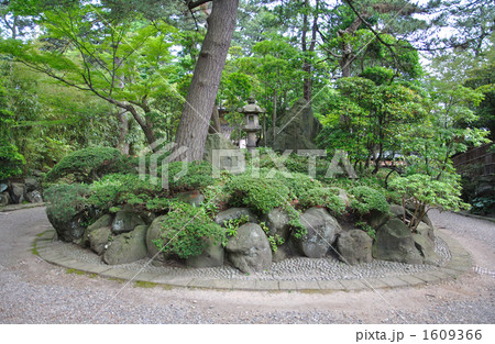 酒田散歩・本間美術館　庭園　 1609366