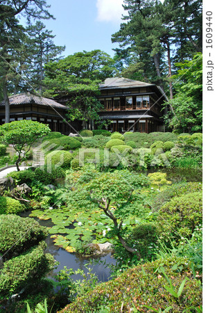 酒田散歩・本間美術館 鶴舞園 酒田散歩・本間美術館 鶴舞園 1609440