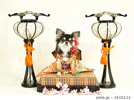 可愛いお雛様 1610112