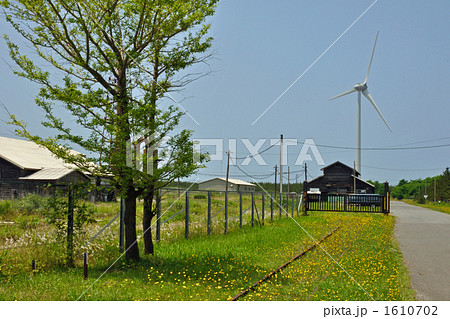 酒田散歩・風車のある風景 酒田散歩・風車のある風景 1610702