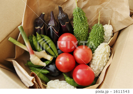 夏野菜便 配送イメージ 夏野菜便 配送イメージ 1611543