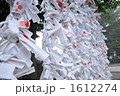 おみくじ 1612274
