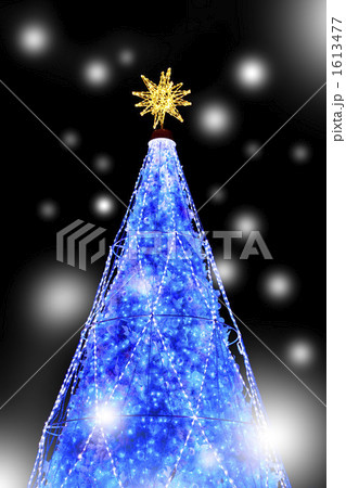 クリスマスツリー 1613477
