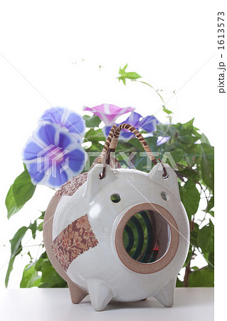 朝顔と蚊取線香 朝顔と蚊取線香 1613573