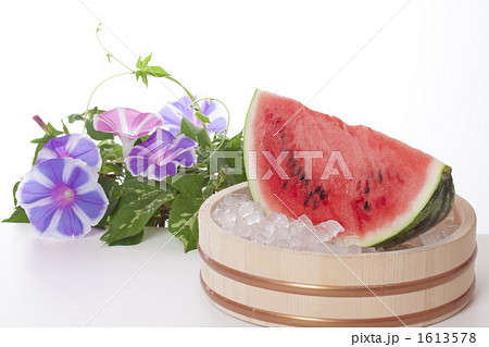 スイカと朝顔 1613578