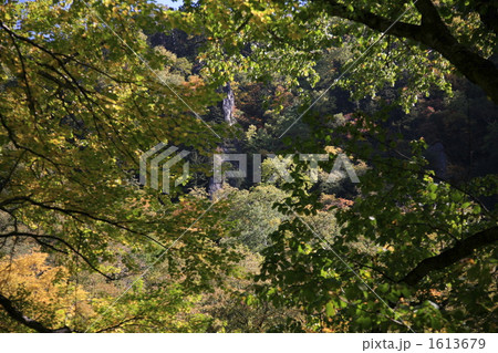 天人峡にて 1613679