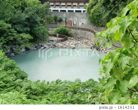 北投温泉の地熱谷 1614231
