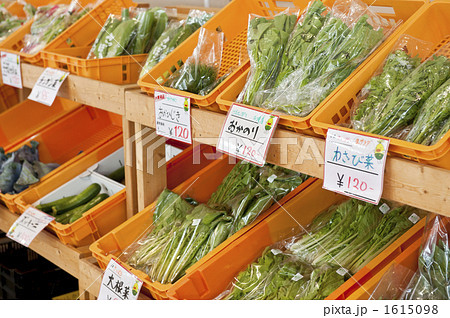 野菜の直売 1615098