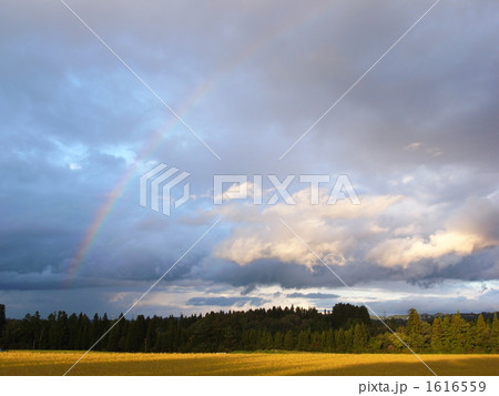 虹と黄金 虹と黄金 1616559