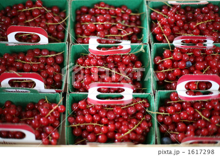 グロゼイユ (赤スグリ) 1617298