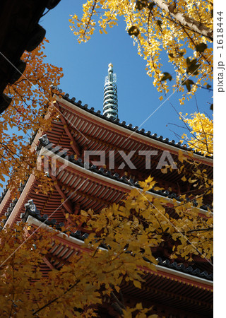 紅葉と五重塔 1618444