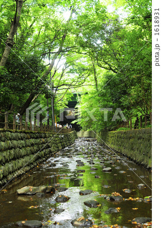 等々力渓谷 1618931