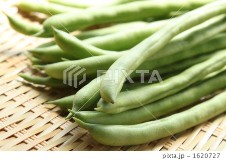 いんげん01 1620727