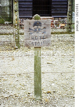 殺戮工場　アウシュビッツ＝ビルケナウ　ドイツ・ナチの強制・絶滅収容所 1621031