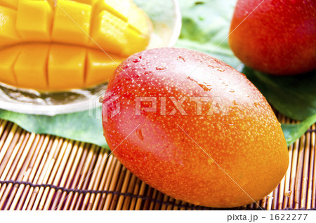 食べごろのマンゴー 1622277