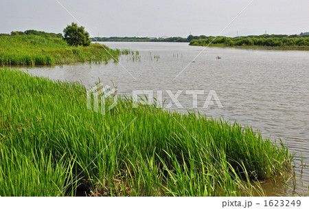 酒田散歩・最上川 1623249