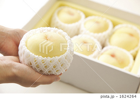 桃を手で持つ 桃を手で持つ 1624264