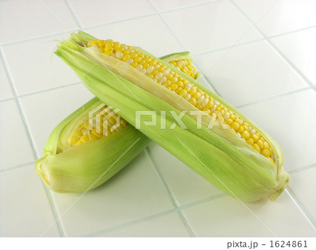 1624861