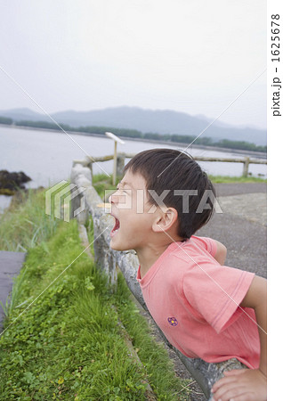 海に向かって 1625678