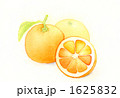 オレンジ 1625832