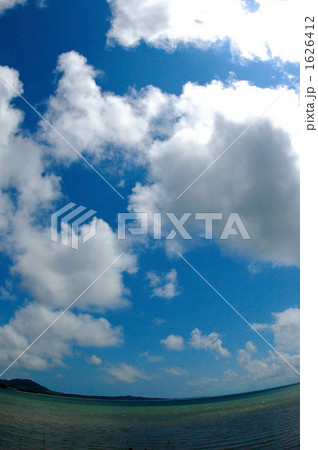 パワー パワー 1626412