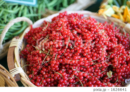 グロゼイユ (赤スグリ) 1626641