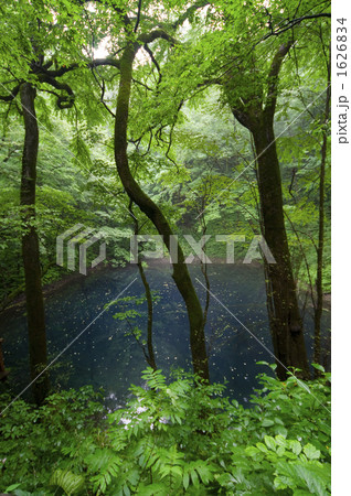 十二湖青池 十二湖青池 1626834