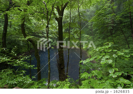 十二湖青池 1626835