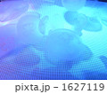 くらげ くらげ 1627119