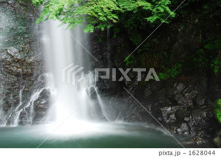 箕面大滝の夏 1628044