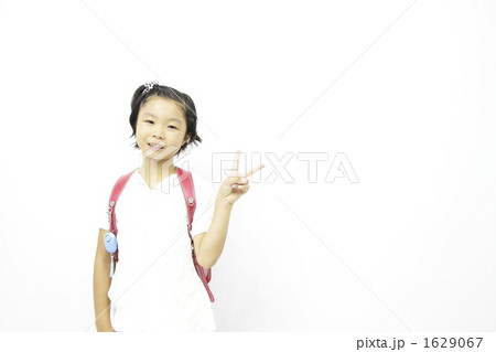 1629067