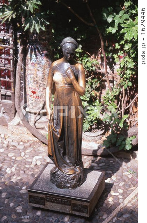 ベローナ 1629446