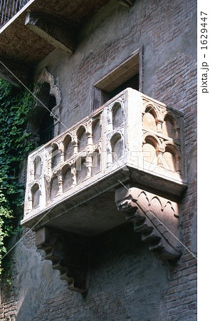 ベローナ ベローナ 1629447